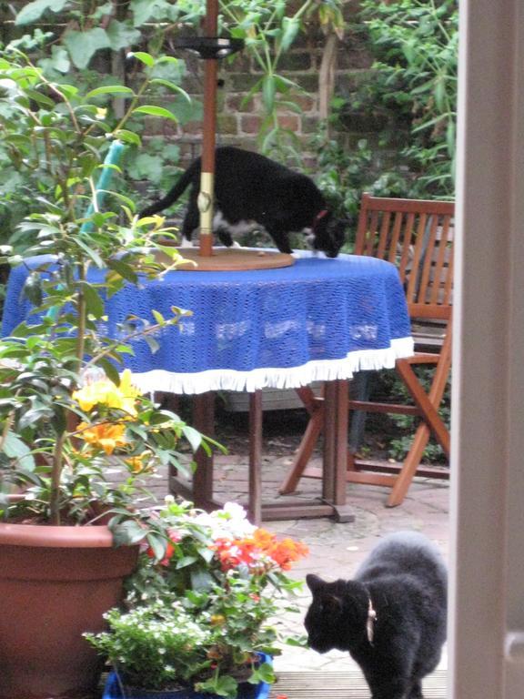 Holmewood Homestay London Rum bild