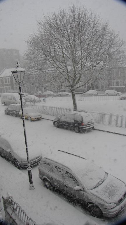 Holmewood Homestay London Exteriör bild