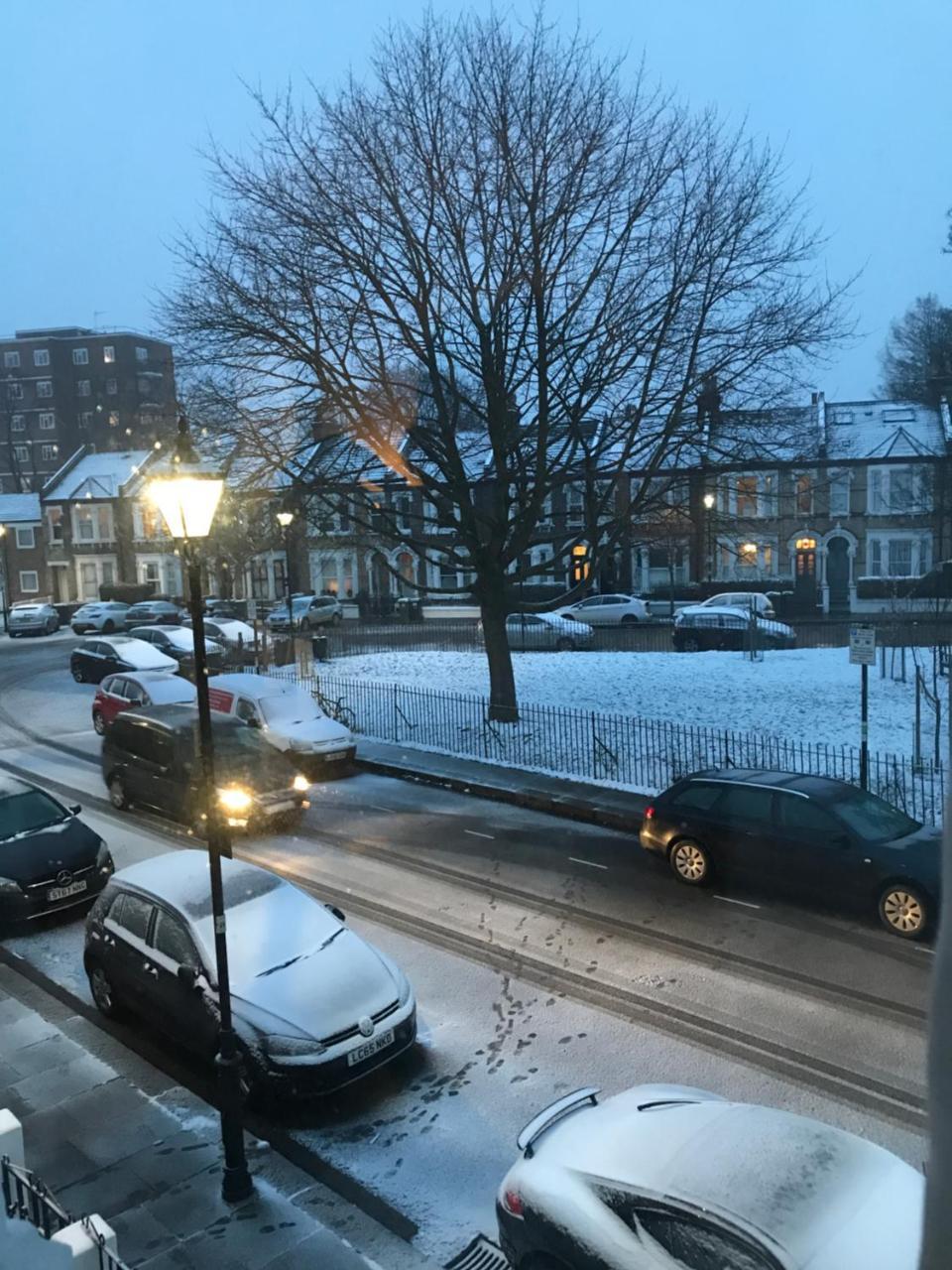 Holmewood Homestay London Exteriör bild